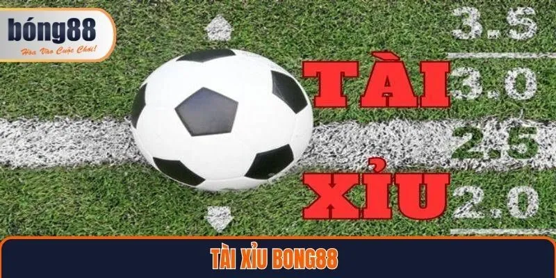 Tài Xỉu Bong88